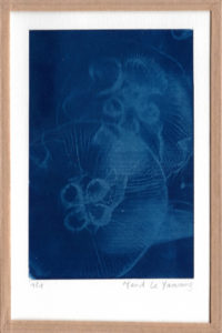 cyanotype ©Maud Le Yaouang