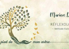 Création logo + identité graphique
