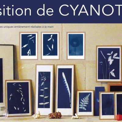 expo cyanotype ©Maud Le Yaouang